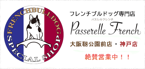 フレンチブルドッグ専門店パスレルフレンチ