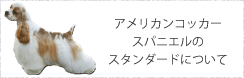 アメリカンコッカースパニエルのスタンダードについて